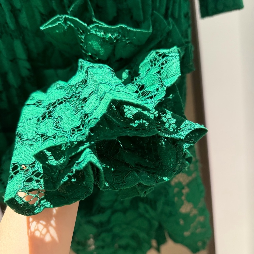 Carolina Herrera Emerald Green Long-Sleeve Lace Shirt Dress - Picture 5 of 16